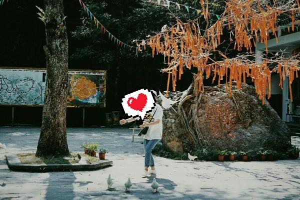 豆腐馅儿包子怎么调游戏画面